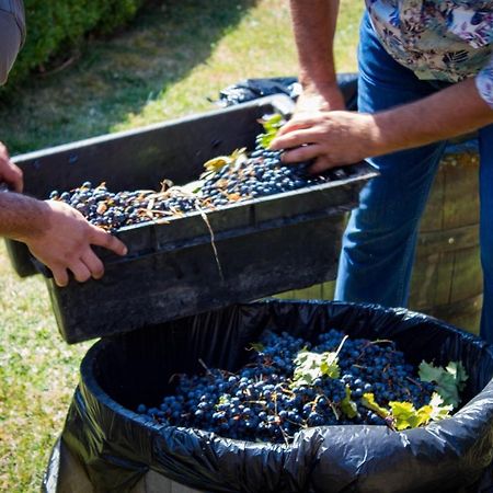 Todoroff Wine Residence Brestovica  Luaran gambar